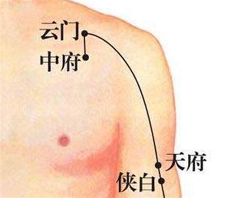 胸部穴位图图片