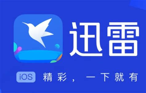 1个月迅雷白金会员0.99元-搜狐大视野-搜狐新闻
