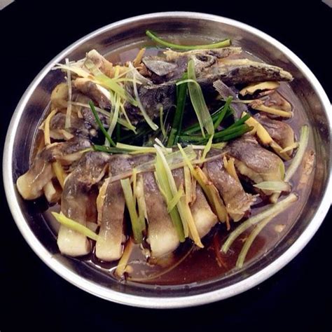 鲟龙鱼图片