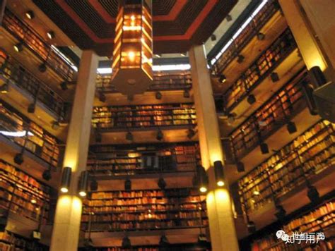 图书馆，一种美好的存在 - 知乎
