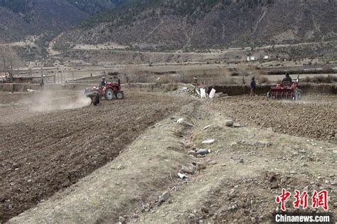 西藏昌都有序恢复农业生产 - 西藏在线
