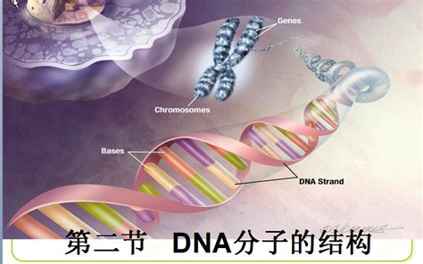 DNA分子的3d插图人类基因组概念的特写图片素材-正版创意图片503427295-摄图网