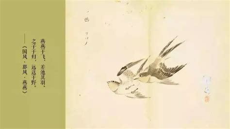 鸟类的飞行冠军-北极燕鸥，每年在南极和北极度过两个夏天_白色_冰川_进行