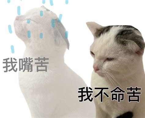 我好虚弱表情包图片