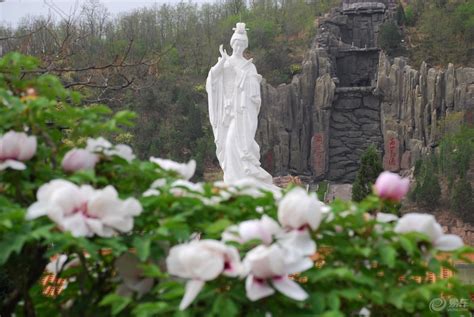临汾古县将举办“天下第一牡丹”文化旅游月系列活动 -中国旅游新闻网