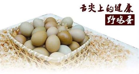 2020年11月7日野鸡蛋价格行情、今日山鸡/野鸡种蛋多少钱一斤？ - 农产品价格 - 蛇农网