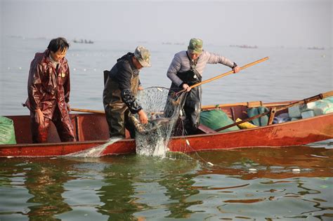 封湖一年后盛大开渔 上千渔民下湖捕鱼 渔船竞发气势恢宏