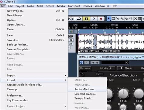 音乐消音软件 怎么把歌曲的伴奏去掉、保留人声（原唱） - 狸窝转换器下载网