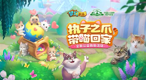 【家园公益季】这个冬天，把流浪小猫带回家！ - 梦幻家园-新春版本资讯-小米游戏中心
