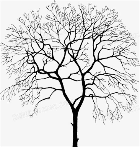 干枯树枝,树枝剪影,冬天的树,树木,植物花草,摄影,汇图网www.huitu.com