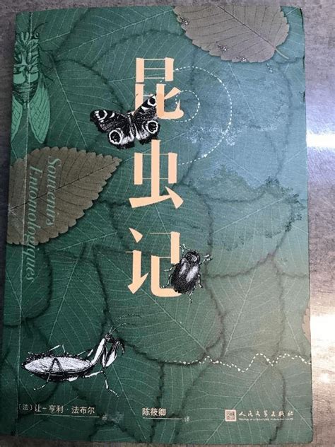 昆虫记图册_360百科