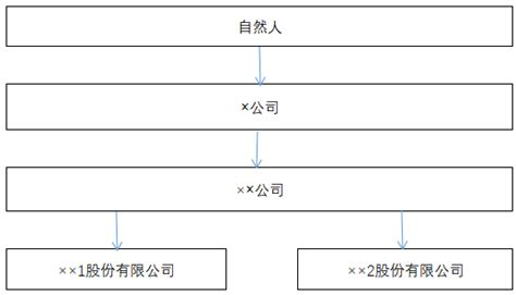股权架构图图片