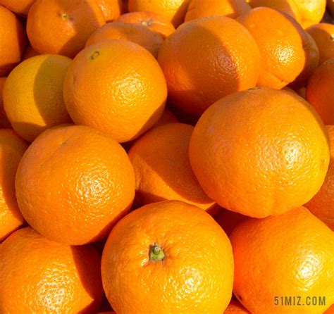 橙色 水果 橙图片免费下载 - 觅知网
