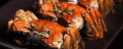 梦见吃螃蟹是什么预兆 你想知道梦境的意思吗_知秀网