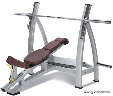 健身器材大全 健身房常见器械名称图片介绍_广州博菲特健身器材有限公司