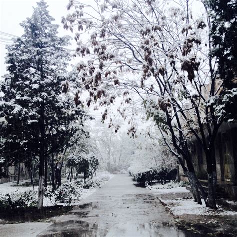 “小雪”节气大雪覆盖北京 官方发暴雪结冰双预警|北京|降雪|大雪_新浪新闻