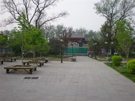 北京161中学回龙观学校，精品学校su模型下载-光辉城市