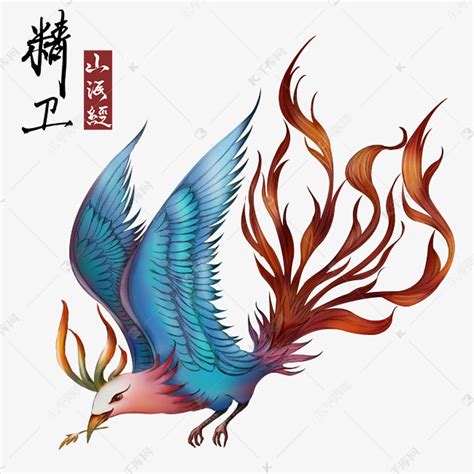 精卫鸟图片