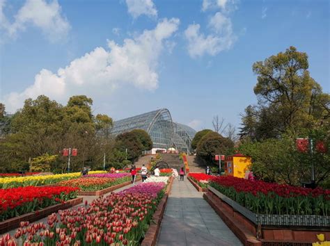 重庆植物园,重庆自然博物馆,重庆南山植物园_大山谷图库