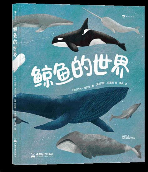 鲸鱼理财_椒盐芝士-站酷ZCOOL