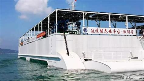 湛江市首个海上养殖平台正式落户流沙港并投入使用-雷州市人民政府网站