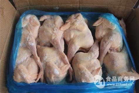 冷冻白条鸡 冷冻鸡副产品批发厂家批发价格 进口 鸡副 鸡肉-食品商务网