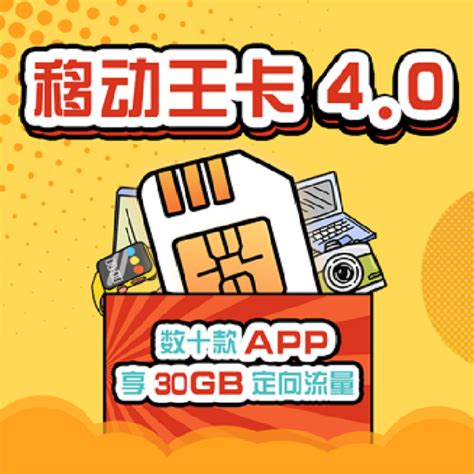 中国移动 流量卡 上网卡 大王卡 18元/月30G 100分钟通话，免费办理—— 慢慢买比价网
