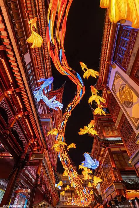 「 一夜鱼龙舞 」2024上海豫园灯会主题灯组|资讯-元素谷(OSOGOO)