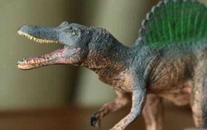 世界之最介绍：白垩纪最大的肉食性恐龙-棘背龙_知秀网