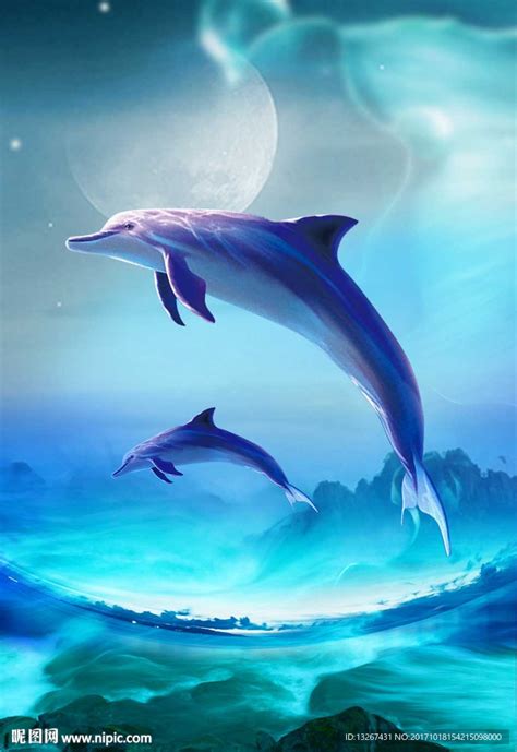 蓝色海豚图片