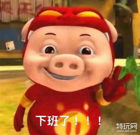 死猪表情包图片