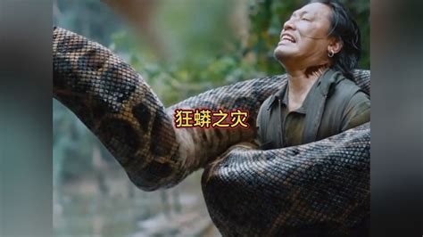 《狂蟒之灾》探险雨林地带遭遇蟒蛇_腾讯视频