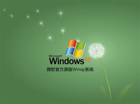 电脑公司XP系统安装包下载_电脑公司Windows XP SP3极速专业版免激活下载V2021.06 - 系统之家