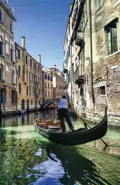 威尼斯的小艇课文原文（小学有篇关于威尼斯的课文）-蔚特号
