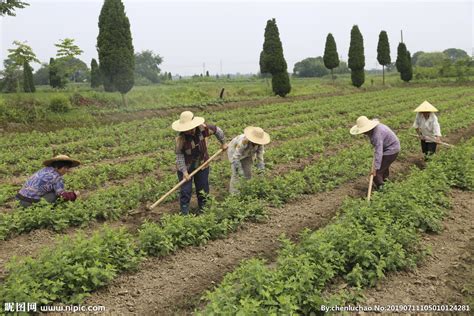 老照片：1982年的中国农村 农民伯伯种田好辛苦