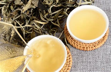 月光白茶的功效与作用 月光白茶的饮用禁忌_白茶_绿茶说
