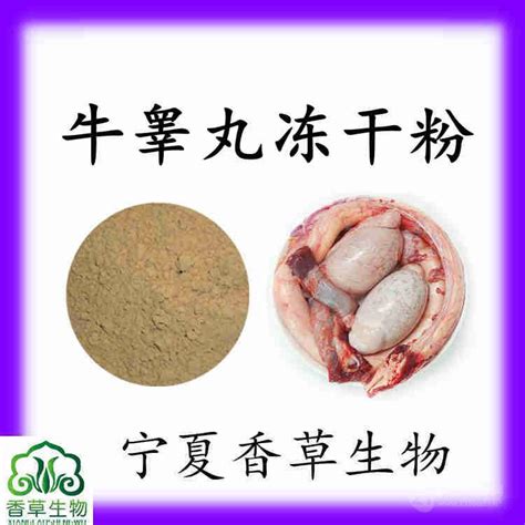 牛睾丸图片