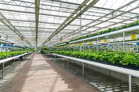 四维生态：“植物工厂”赋能高新农业_种植