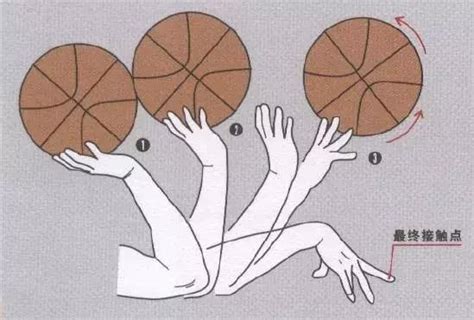 篮球基本功训练：正确投篮姿势手型教学|投篮|基本功|篮球_新浪新闻