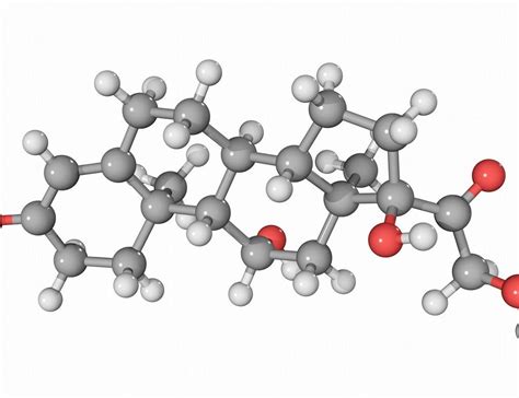 大阪大学利用蛋白质“ MT -II”,加快替代类固醇的新型抗炎药的开发 - 创健有明中国官网