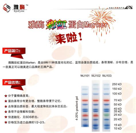 WH0136 DNA Ladder（100～1_供应产品_北京百奥莱博科技有限公司