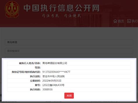 中国被执行人信息查询公开网（如何快速查询失信被执行人名单？）-录案号