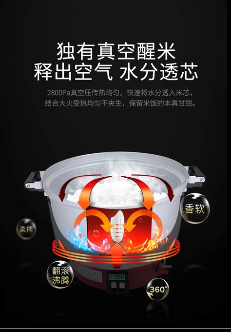 林内Rinnai RR-50A液化气饭煲饭锅燃气 煤气电饭煲煮饭锅温控商用-阿里巴巴
