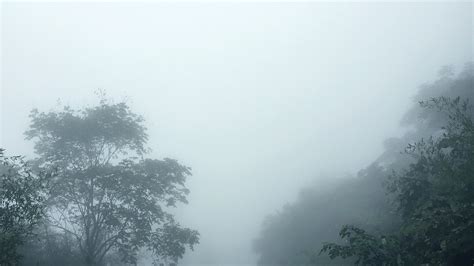 大气的光雾山云海日出景色高清图片下载-正版图片500714119-摄图网