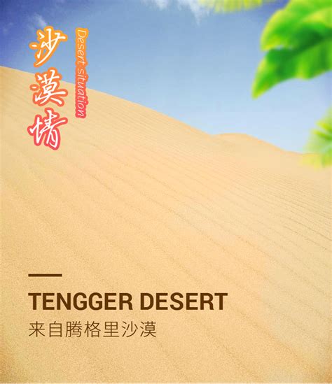 50斤细沙天然沙漠沙子宝宝玩沙沙池摄影造景沙人工沙滩沙黄沙颗粒-淘宝网
