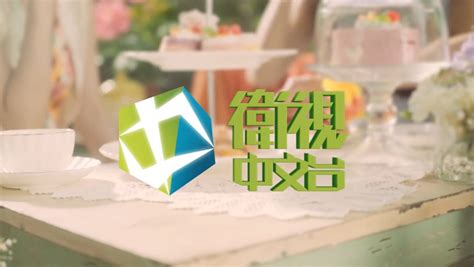 卫视中文台启用“中”字新台标 - 设计之家