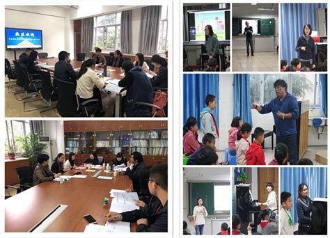 上海应用技术大学生态学院召开线上教研室会议