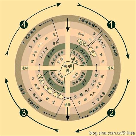 十二因缘图解图片