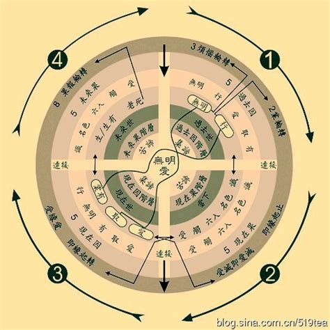 南怀瑾：生命科学—四谛、十二因缘－－学佛网