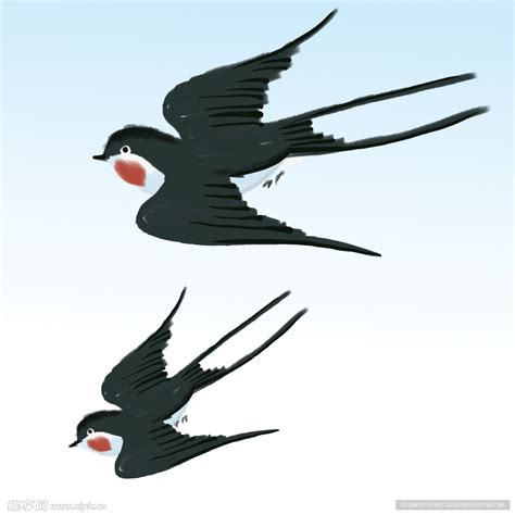 燕子的尾巴有多长-最新燕子的尾巴有多长整理解答-全查网